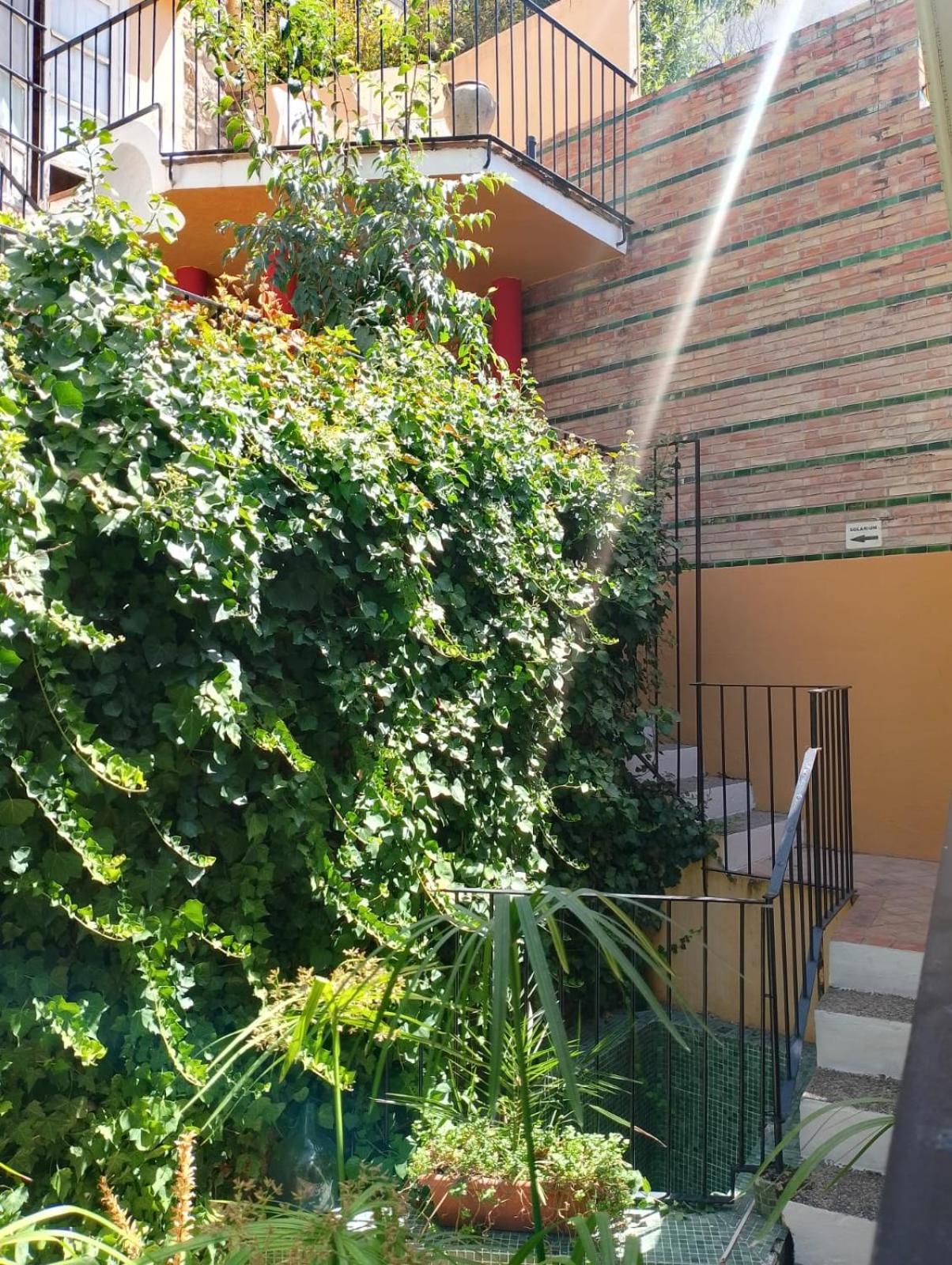 Casa Rural Plaza De Santa Maria Казорла Экстерьер фото